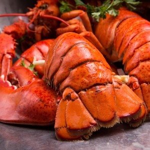 Lobster chowder